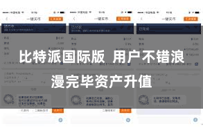 比特派国际版  用户不错浪漫完毕资产升值